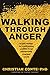 Walking Through Anger by Christian Conte
