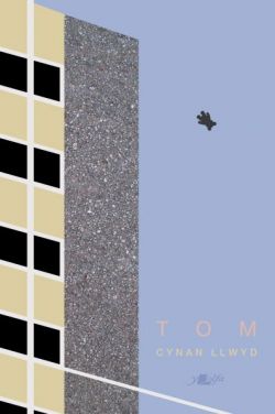 Tom (Paperback)