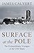 Surface at the Pole by James Calvert