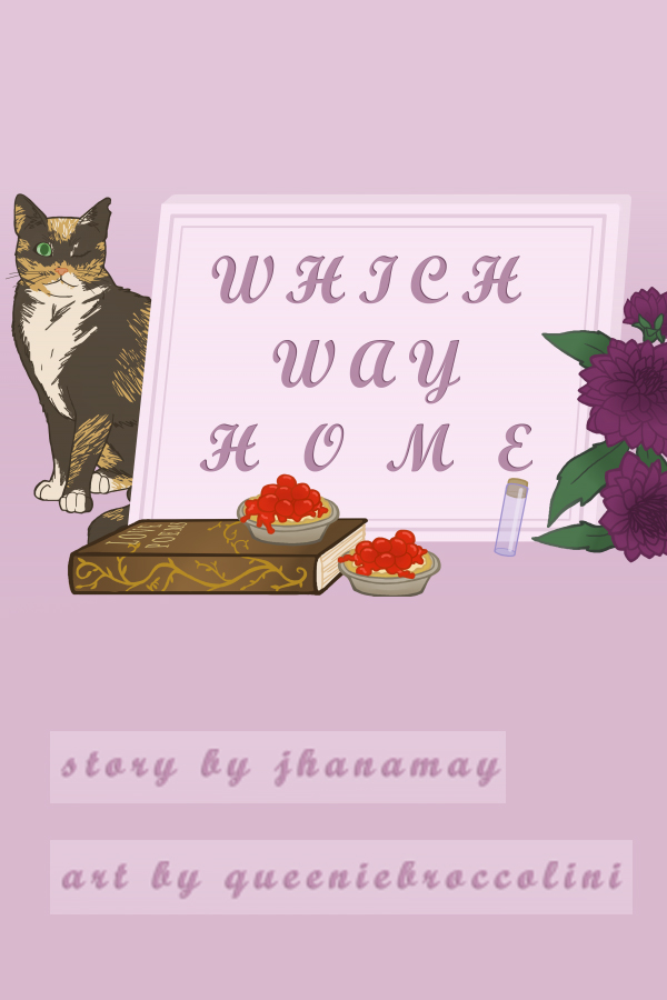 Which Way Home