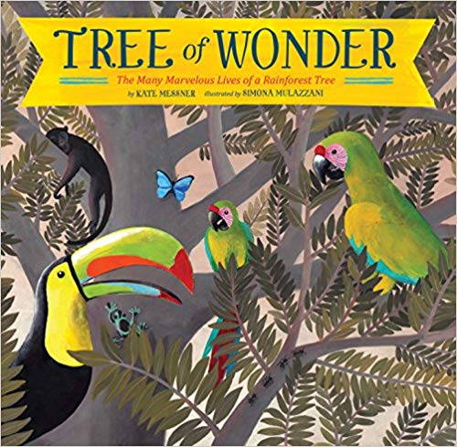 Tree of Wonder: The Many Marvelous Lives of a Rainforest Tree (Hardcover)