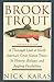 Brook Trout: A Thorough Look at North America's Great Native Trout- Its History, Biology, and Angling Possibilities