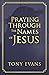 Praying Through the Names of Jesus (The Names of God Series)