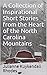 A Collection of Inspirational Short Stories from the Heart of the North Carolina Mountains