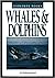 Whales & dolphins (Explorer...