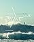 Waves: Pro Surfers and Thei...