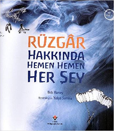 Ruzgar Hakkinda Hemen Hemen Her Sey (Paperback)