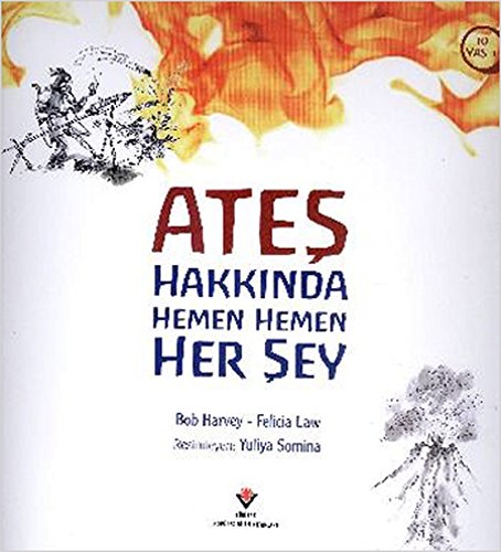 Ates Hakkinda Hemen Hemen Her Sey (Paperback)