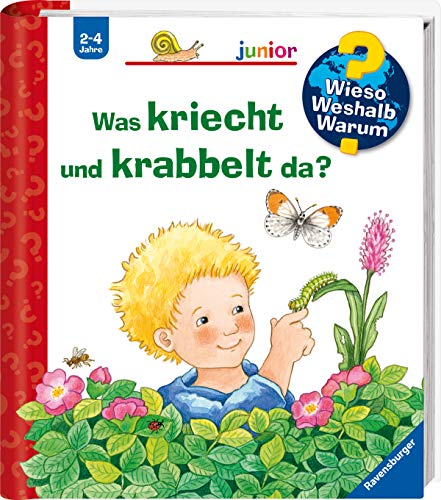 Was kriecht und krabbelt da? (Spiral-bound)