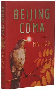 Beijing Coma