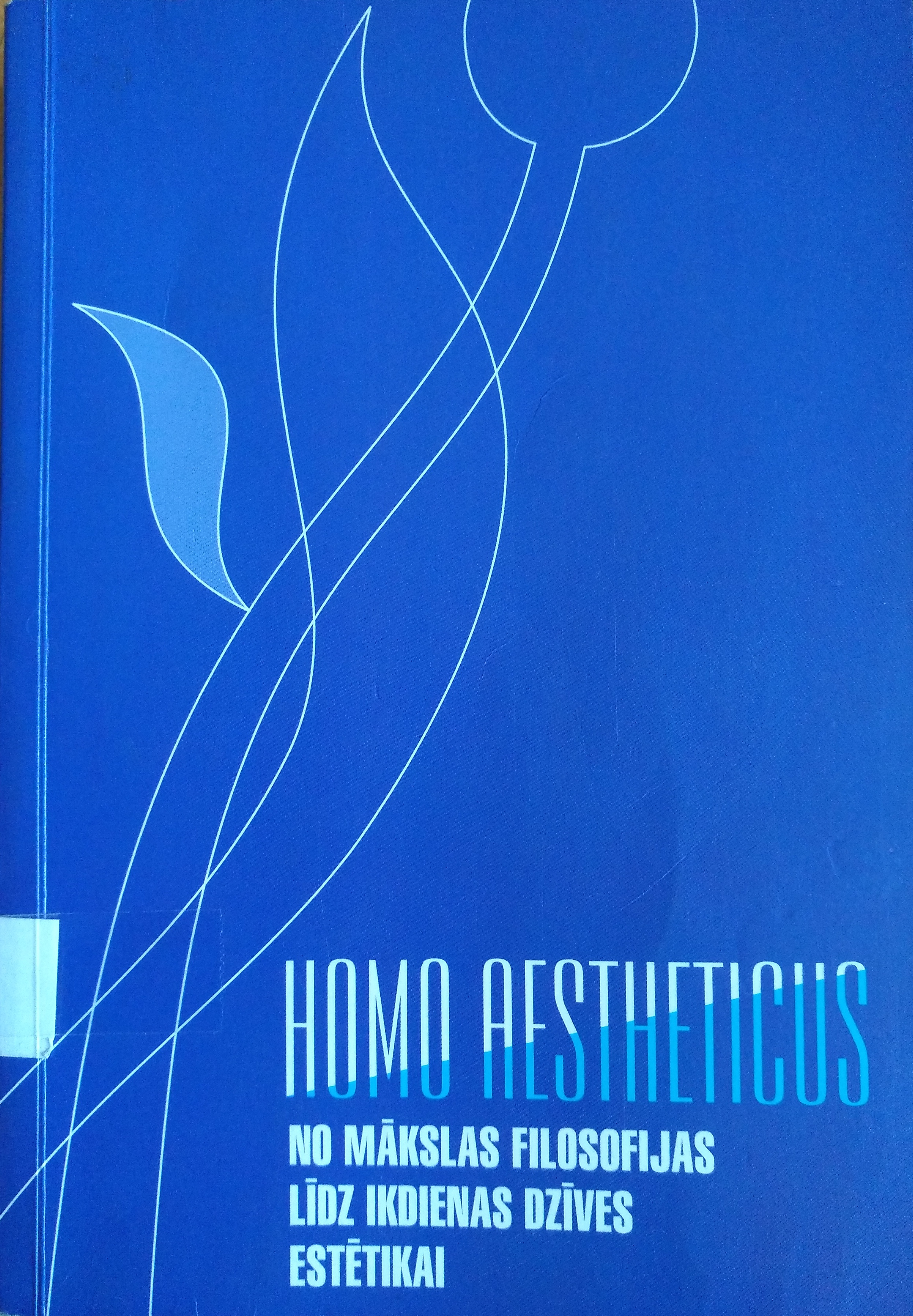 Homo Aestheticus. No mākslas filosofijas līdz ikdienas dzīves estētikai (Paperback)