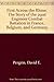 First Across the Rhine: The Story of the 291st Engineer Combat Battalion in France, Belgium, and Germany