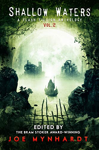 Shallow Waters Vol. 2 (Kindle Edition)