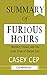 Summary of Furious Hours: C...