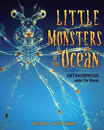 Little Monsters of the Ocean: Metamorphosis under the Waves (Kindle Edition)