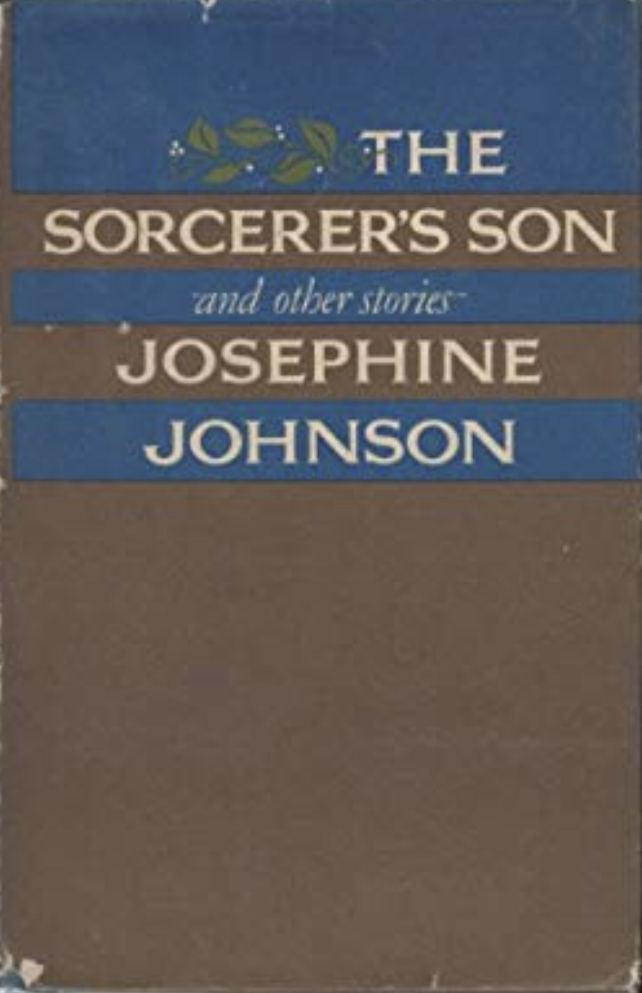 The Sorcerer's Son and Other Stories