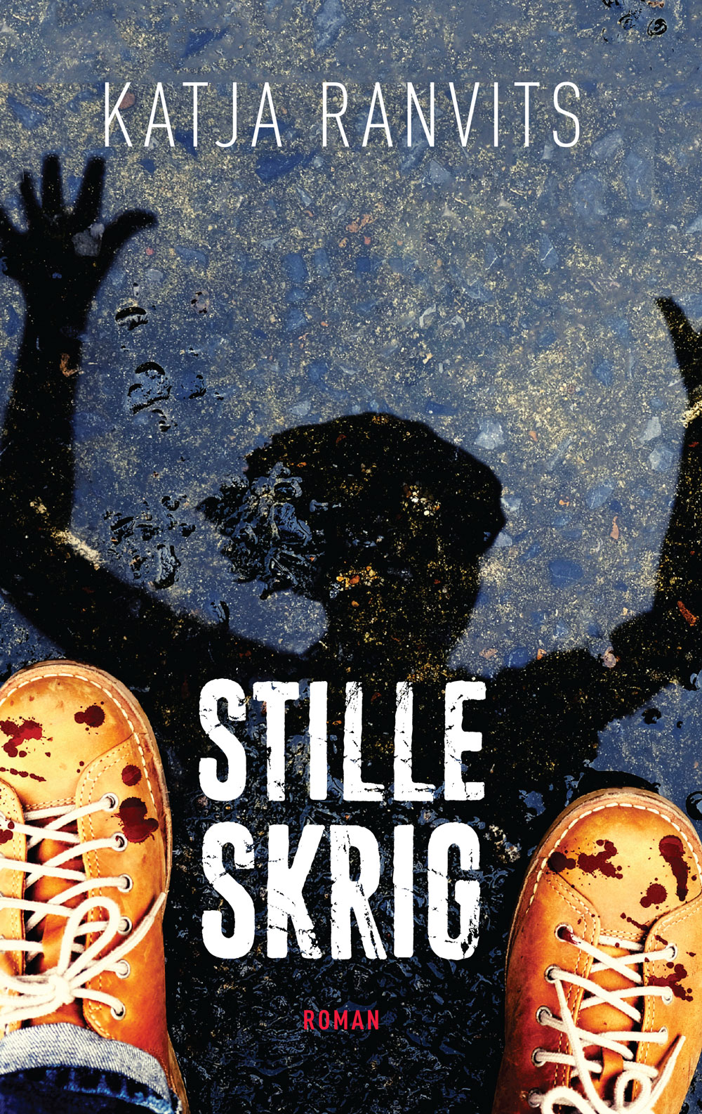 Stille skrig (Paperback)