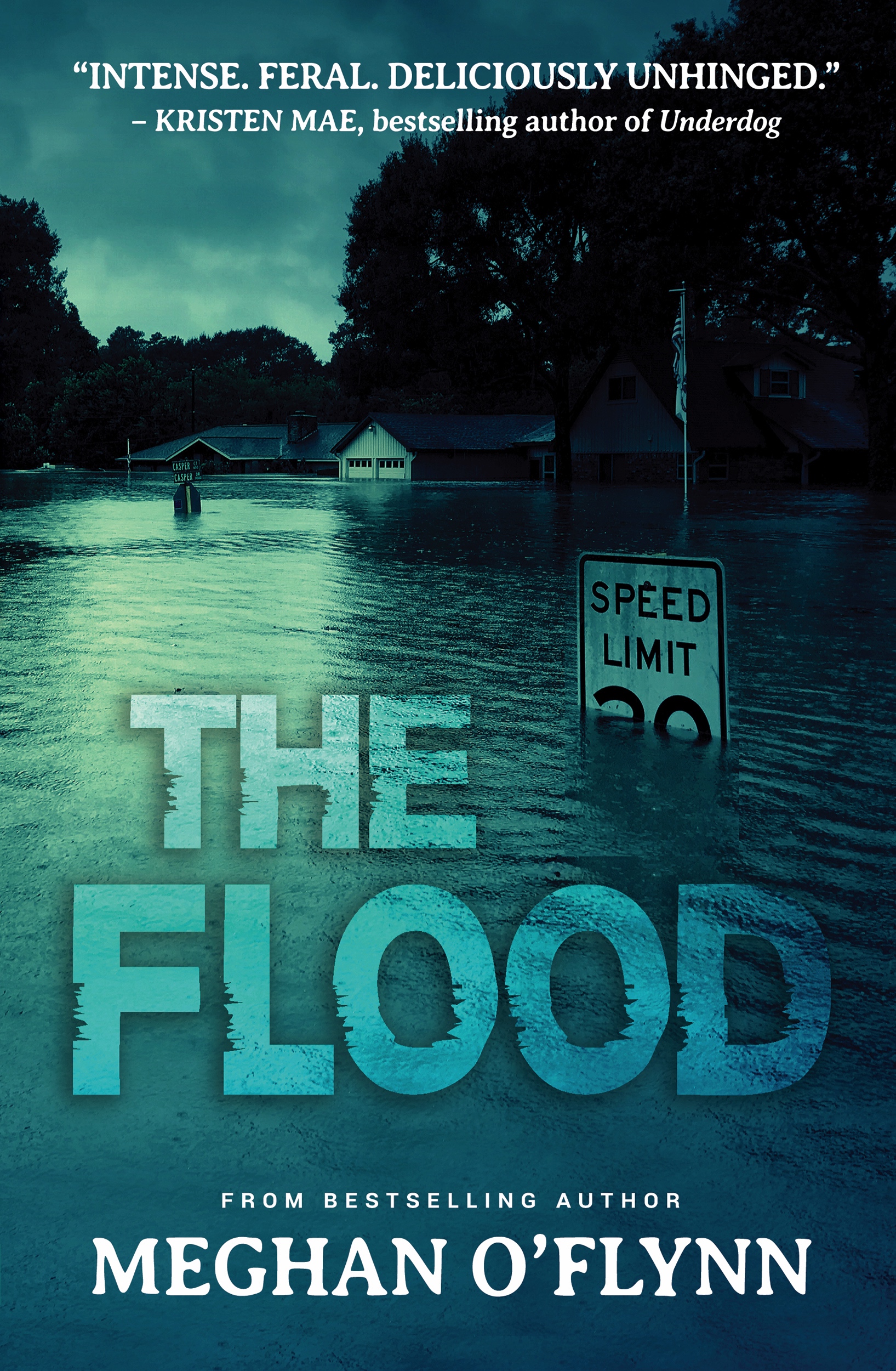 The Flood (Paperback)