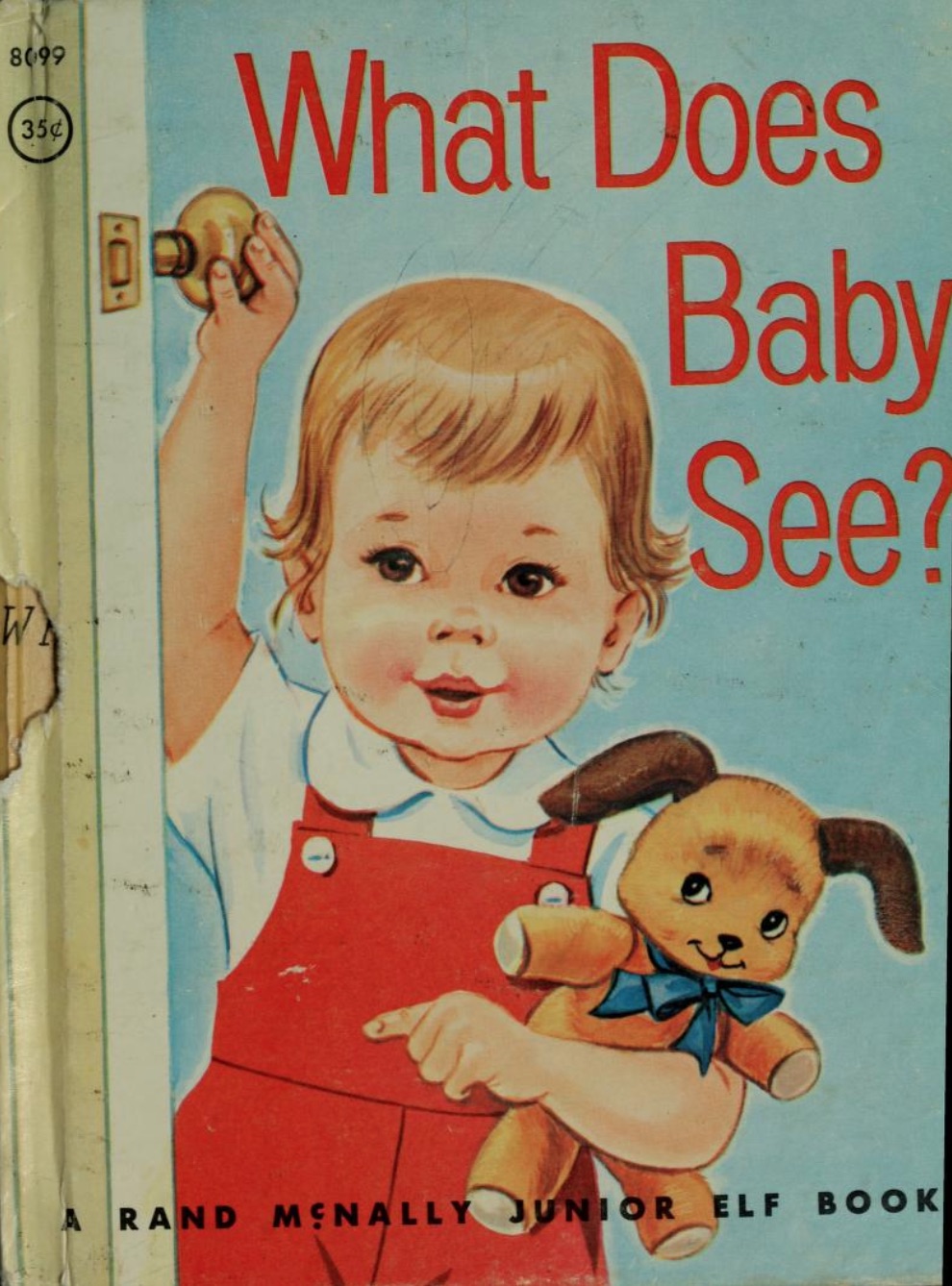 What Does Baby See? (Hardcover)