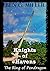 Knights of Havens by Benjamin Miller