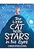 The Little Cat With Stars i...