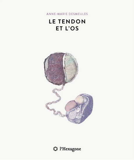 Le tendon et l'os (Paperback)