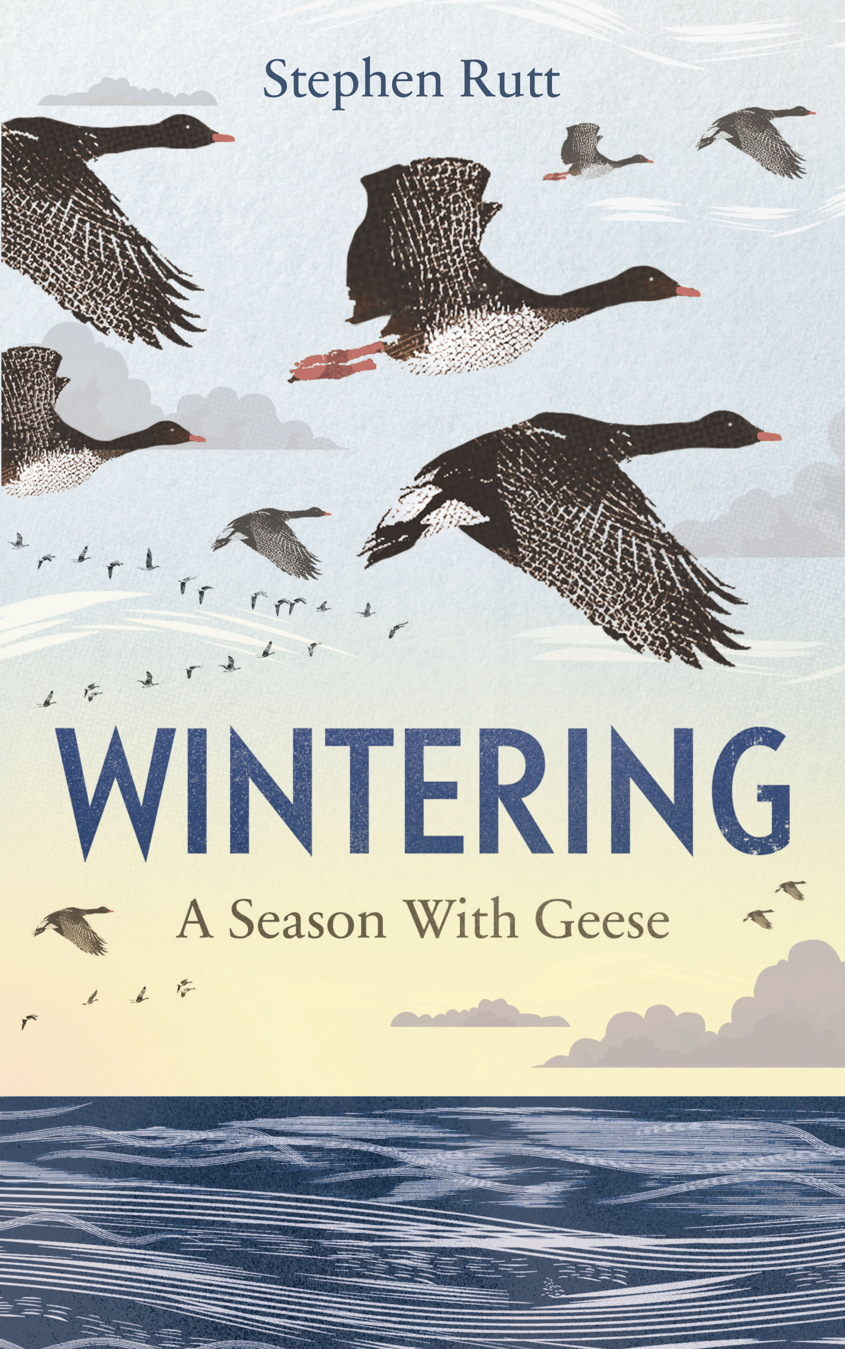Wintering: A Season with Geese (Hardcover)