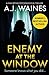 Enemy At The Window