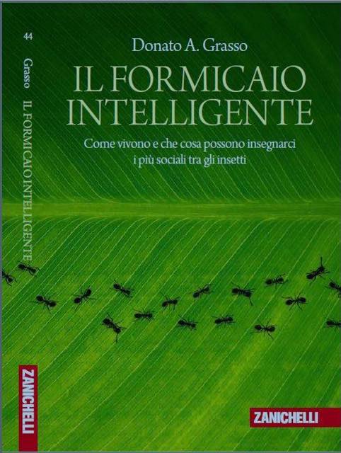 Il formicaio intelligente: Come vivono e che cosa possono insegnarci i più sociali tra gli insetti (Paperback)