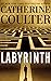 Labyrinth (An FBI Thriller)