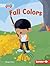 Fall Colors (Seasons All Around Me (Pull Ahead Readers ― Fiction))