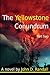 The Yellowstone Conundrum--Part 2