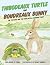 Thibodeaux Turtle and Boudreaux Bunny: The Tortoise and the Hare with a Louisiana Twist