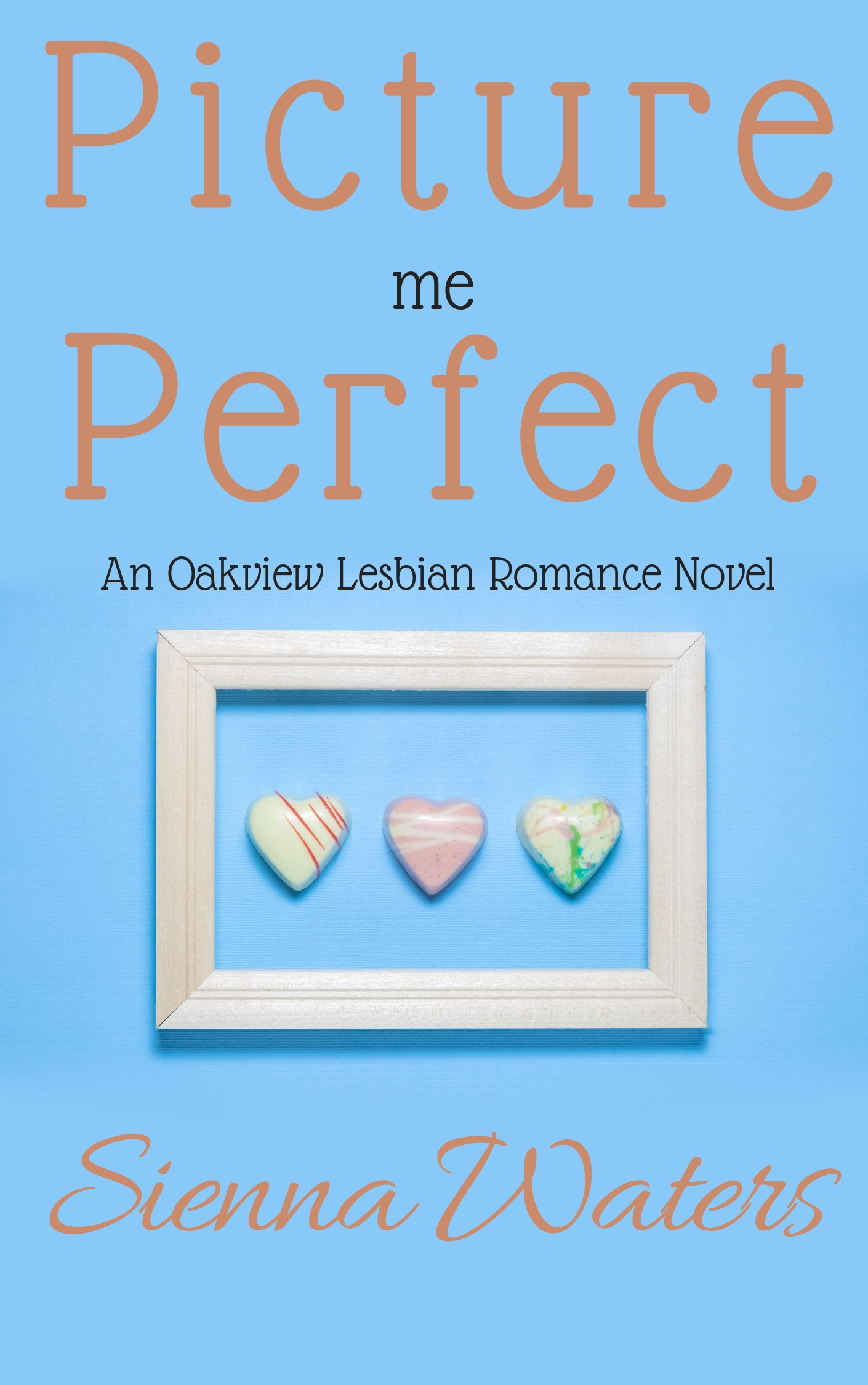 Picture Me Perfect (Oakview, #7)