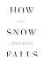 How Snow Falls