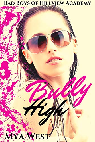 Bully High (Bad Boys of Hillview Academy #1)