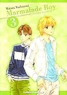 Marmalade boy, Tomo 3 by Wataru Yoshizumi