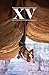 The Climbing Zine Volume 15 by Luke Mehall