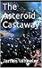 The Asteroid Castaway