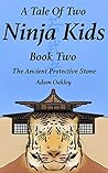 A Tale Of Two Ninja Kids - Book 2 - The Ancient Protective Stone