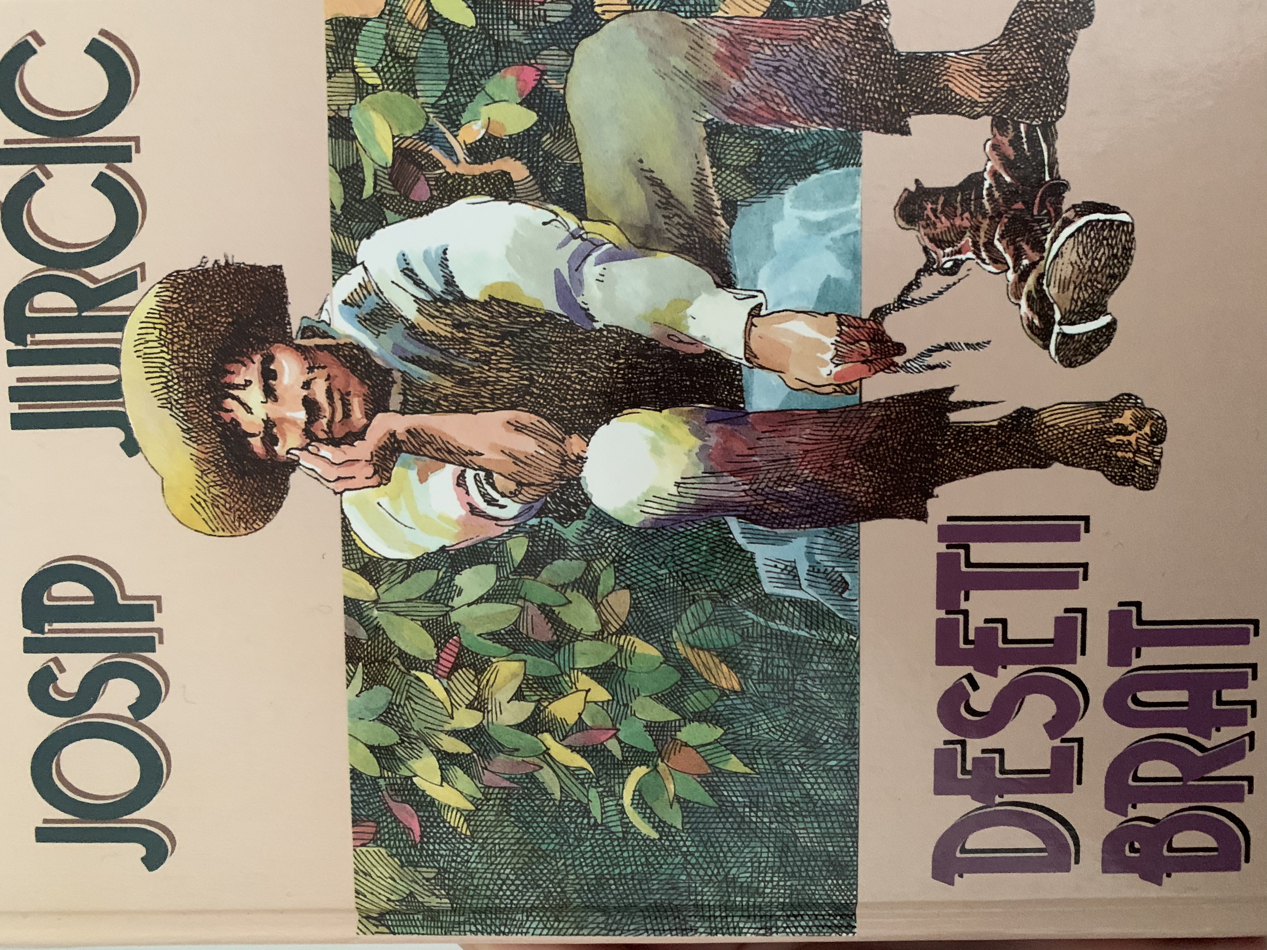 Deseti Brat (Hardcover)