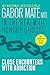 In the Realm of Hungry Ghosts: Close Encounters with Addiction