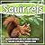 Squirrels: Discover Picture...