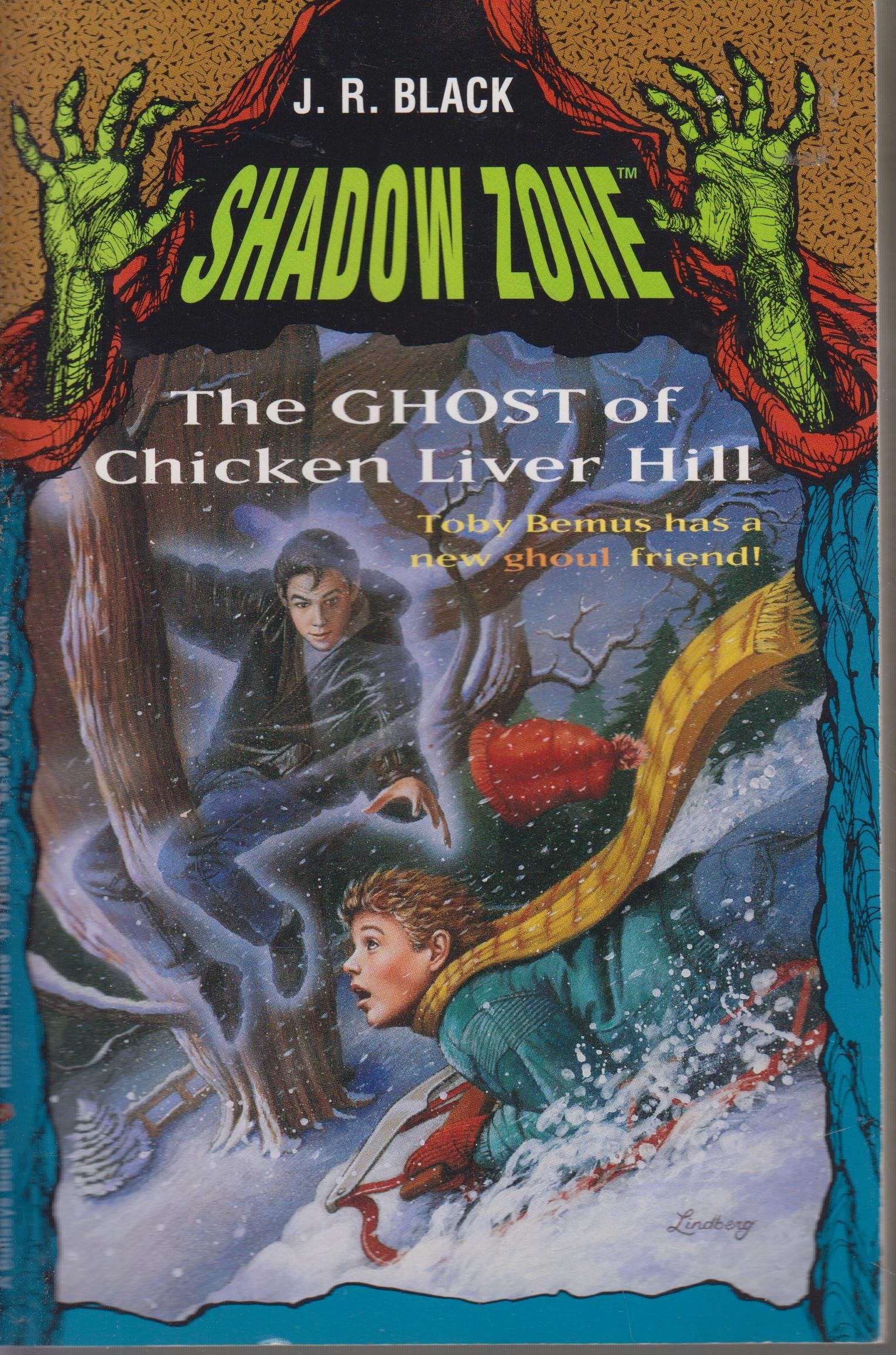 The Ghost of Chicken Liver Hill (Shadow Zone, #1)
