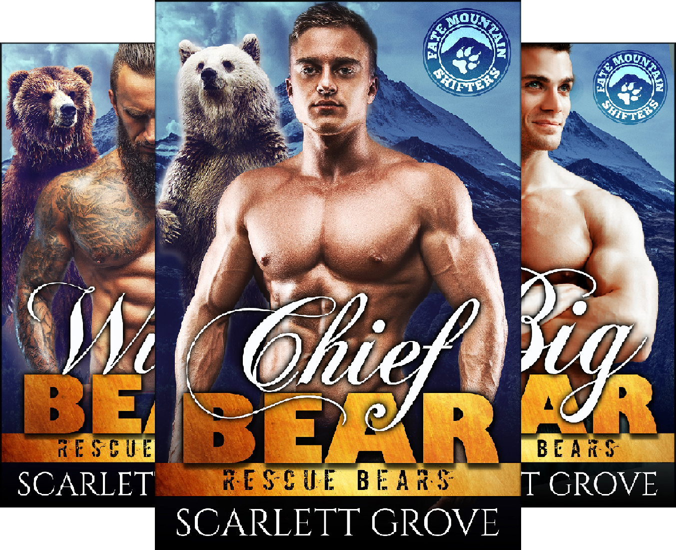 Rescue Bears (6 Book Series)