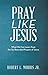 Pray Like Jesus: What We Ca...
