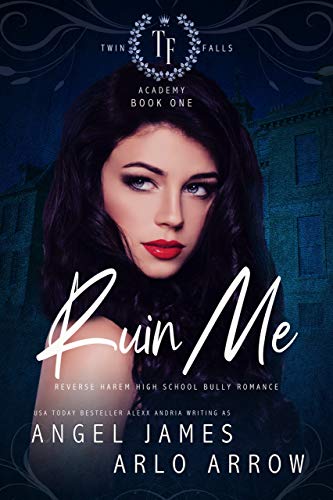 Ruin Me  (Twin Falls Academy #1)