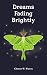 Dreams Fading Brightly by Clinton W. Waters