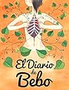 El Diario De Bebo