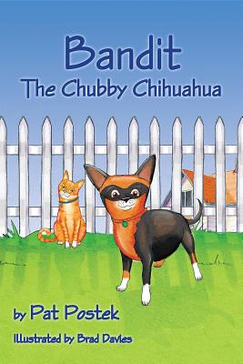 Bandit, the Chubby Chihuahua